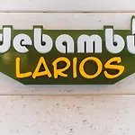 Debambu Larios Malaga