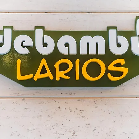 Debambu Larios Málaga